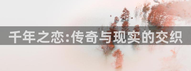 耽漫网之家最新章节更新：千年之恋:传奇与现实的交织