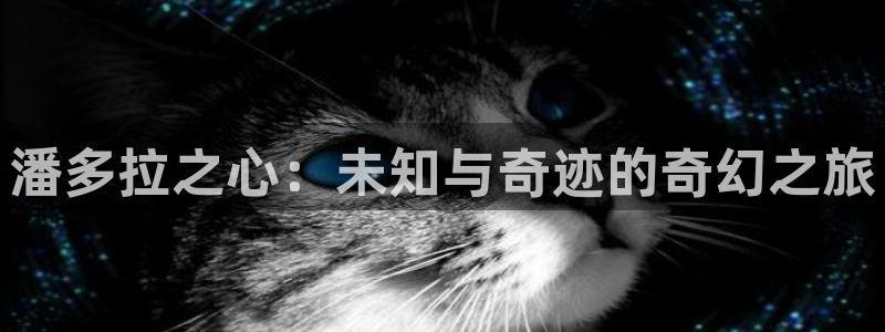 耽漫网官网：潘多拉之心：未知与奇迹的奇幻之旅