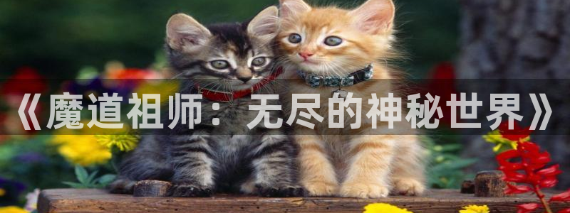 一耽漫网：《魔道祖师：无尽的神秘世界》