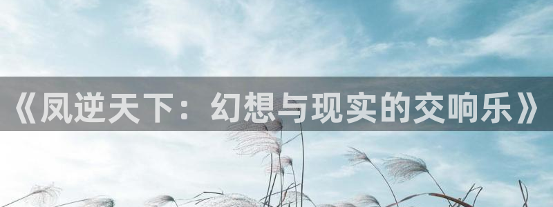 耽漫网免费阅读在线下载：《凤逆天下：幻想与现实的交响乐》