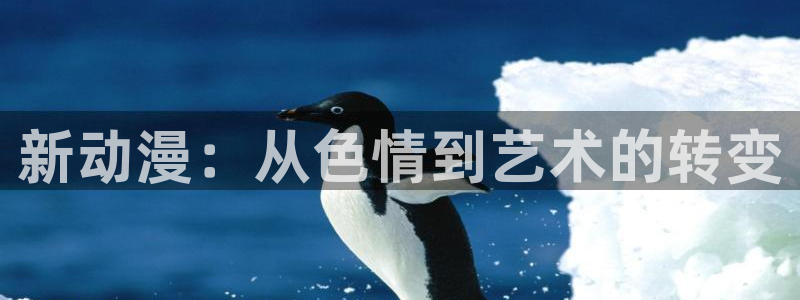 耽漫网最新小说推荐：新动漫：从色情到艺术的转变
