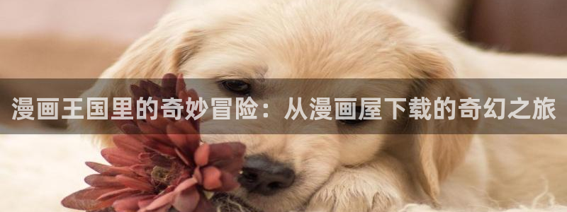 耽漫网值得收藏的书下拉式：漫画王国里的奇妙冒险：从漫画屋下载的奇幻之旅