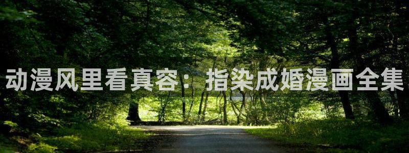 耽漫网之家：动漫风里看真容：指染成婚漫画全集